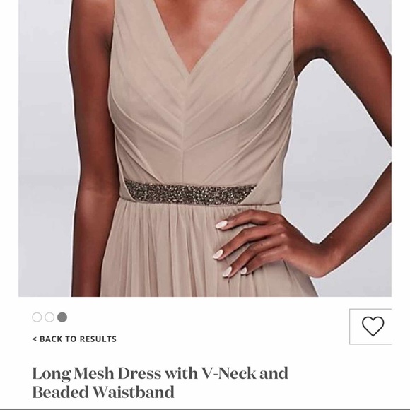 David’s Bridal Long Mesh Dress with V neck - Picture 1 of 5